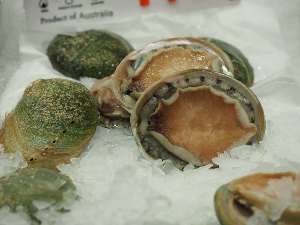 Abalone australijski