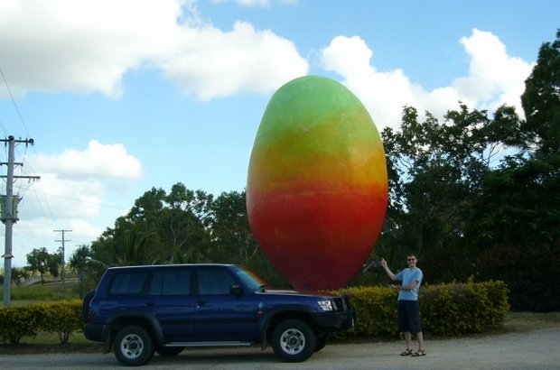 Australijskie Mango