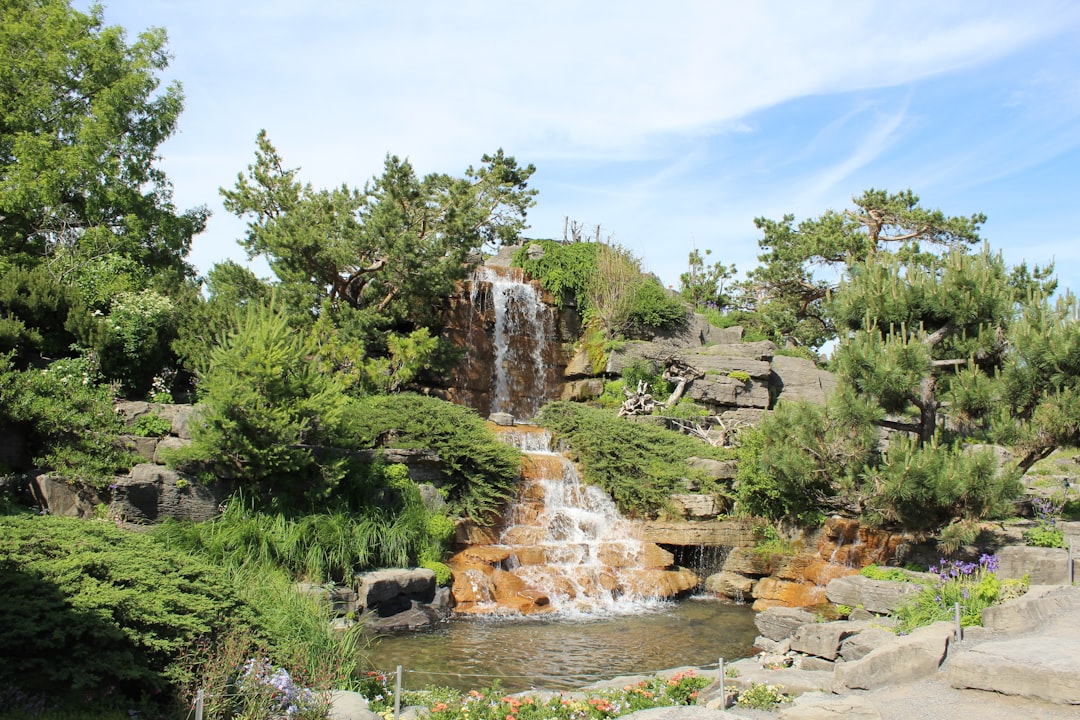Photo Outdoor garden