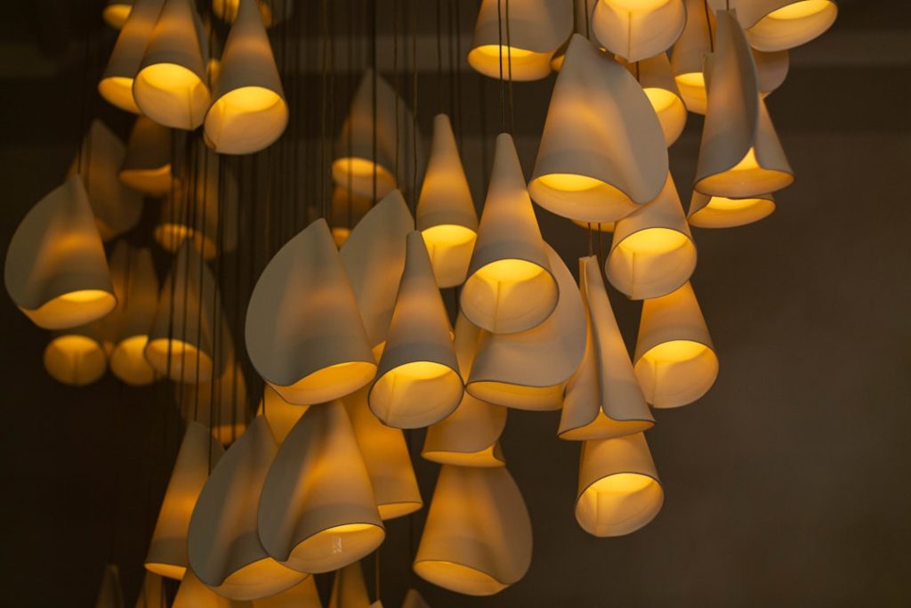 Photo Albatross Wooden Chandelier